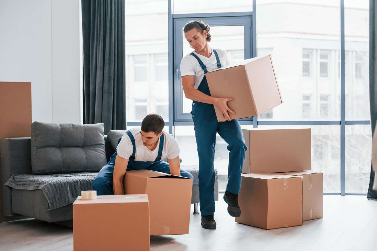 What are Removalists